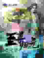 至尊归元