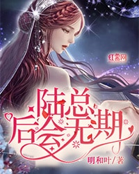 陆总，后会无期