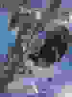 喋血深空之我是空降兵