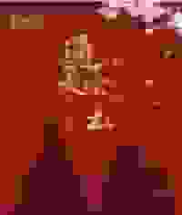 红楼梦之通灵宝玉