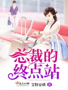 总裁的终点站