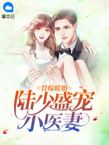 陆少盛宠小医妻