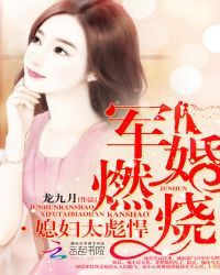 军婚燃烧：媳妇太彪悍