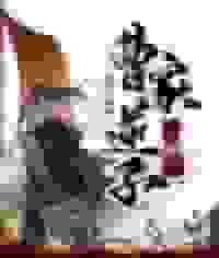 三国之曹家逆子