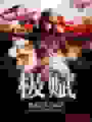极赋