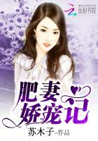 肥妻娇宠记
