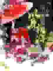 皇上他总想以身相许