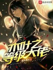 木叶之等级大佬