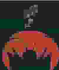 鬓边不是海棠红