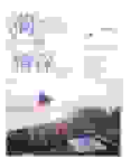 蔺先生，一往情深