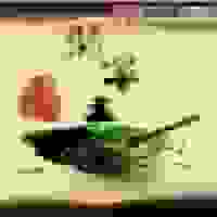 翡翠王