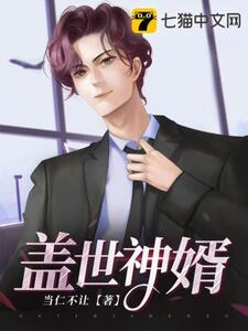 盖世神婿