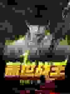 盖世战王