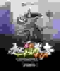 我不是超级武者