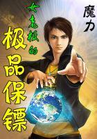 女老板的极品保镖