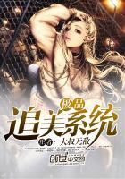 极品追美系统