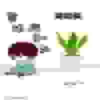 承蒙时光带来你