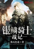 银鳞骑士战记
