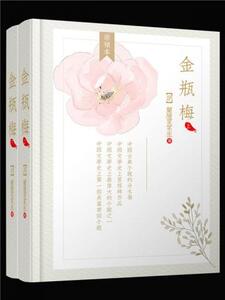 金瓶梅（删减版）