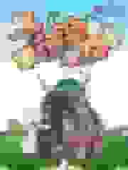 我就是大德鲁伊