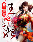 邪王心尖宠：金牌医妃NO