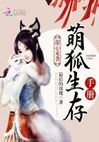 甜心来袭：萌狐生存手册