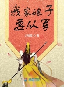 我家娘子要从军