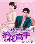 家有绝色房东：护花高手