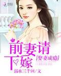 娶妻成瘾：前妻请下嫁