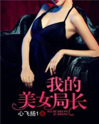 我的美女局长