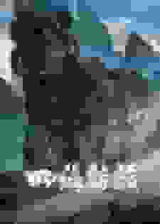 四海鲸骑三册全