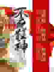 异界不死狂神