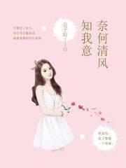 奈何清风知我意 第二册