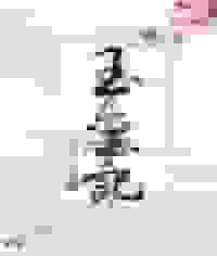 玉玺记石头与水