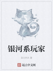 银河系玩家